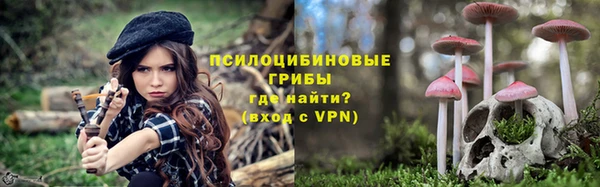ешки Арсеньев
