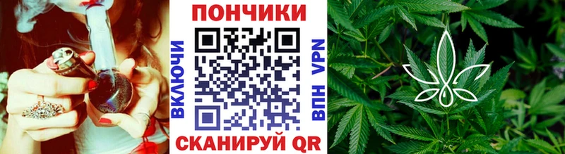 Бошки марихуана семена  купить наркоту  Нягань 