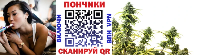 Канабис сатива Нягань
